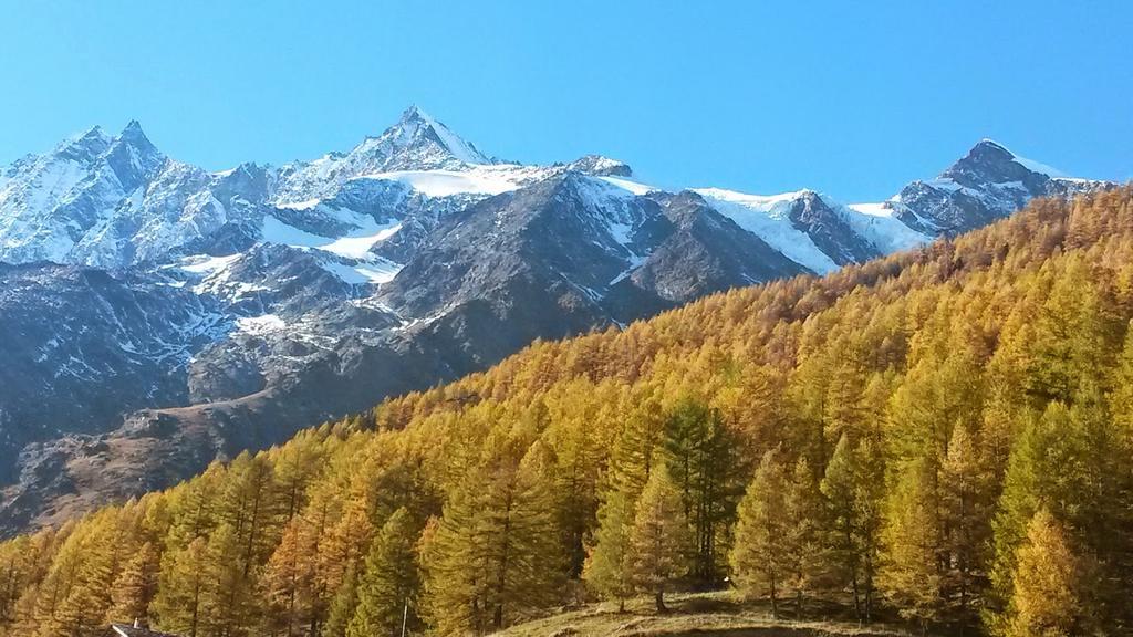 Ferienhaus Antigua Saas-Grund Dış mekan fotoğraf